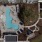 Resort-Style, Saltwater Pool with Sun Shelf and Underwater Benches
