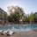 Resort-Style, Saltwater Pool with Sun Shelf and Underwater Benches